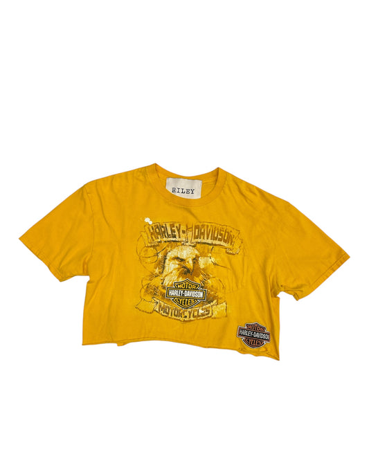 Harley Davidson Cropped Tee Voodoo